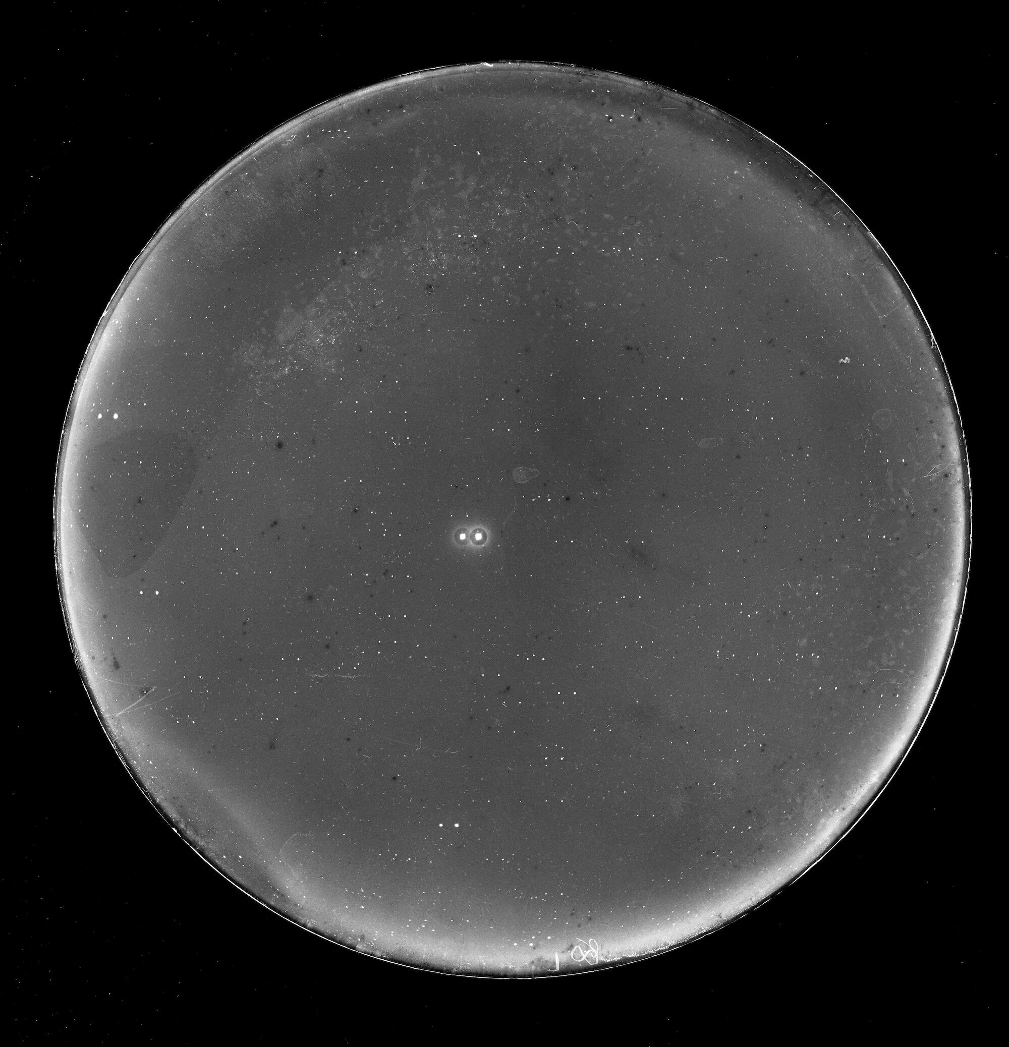 No giant planets found in nearby binary star system