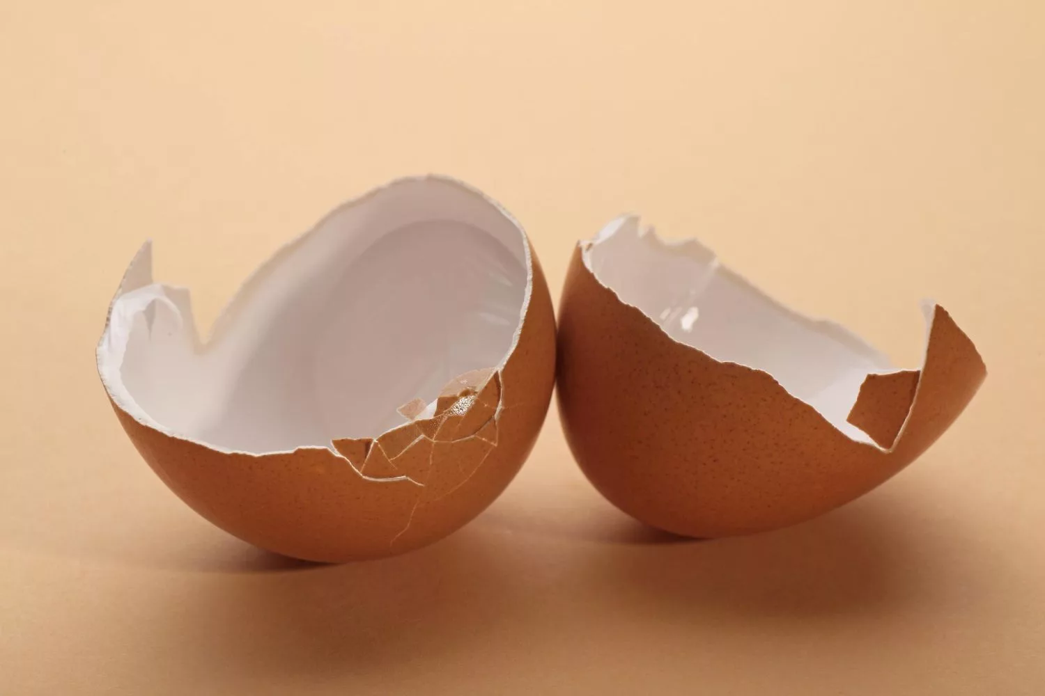 Scientists turn eggshells into next-generation spacecraft protection
