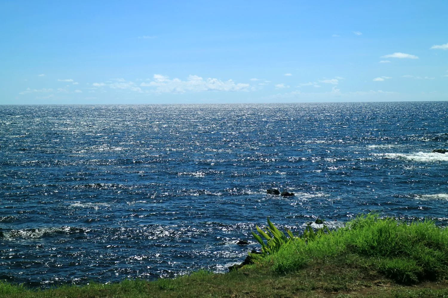 Pacific Ocean's oxygen loss follows two opposite patterns