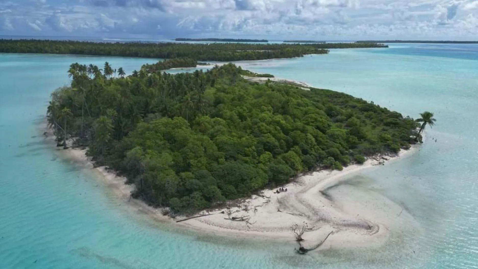 What do rats have to do with Islands surviving rising seas?