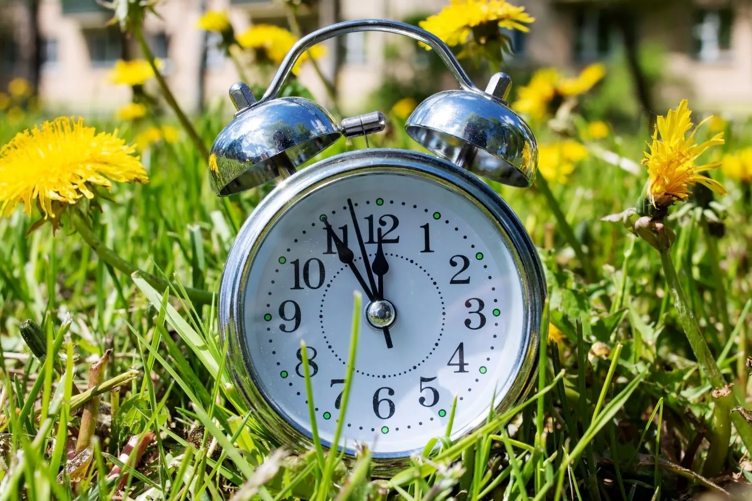 Standard time beats daylight saving for health, scientists find